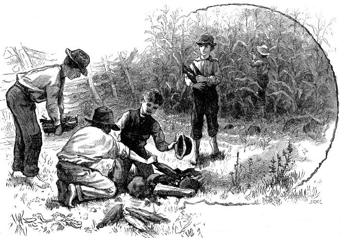 ROASTING EARS.&mdash;Drawn by S.&nbsp;G. McCutcheon.