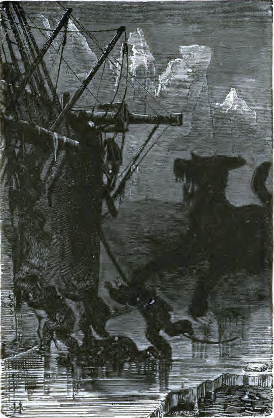 A strange animal was bounding