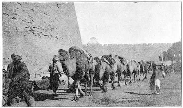 In de nabijheid van de &ldquo;Groote muur&rdquo;.