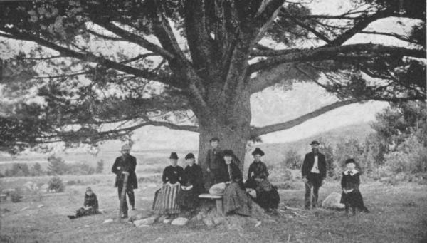 THE WOOD GIANT, AT STURTEVANT'S, CENTRE HARBOR

"Alone, the level sun before;
Below, the lake's green islands;
Beyond, in misty distance dim,
The rugged Northern Highlands."
