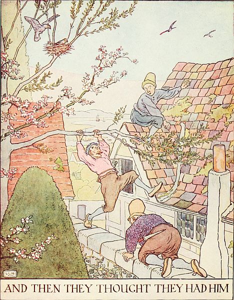 AND THEN THEY THOUGHT THEY HAD HIM