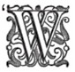 &lsquo;W