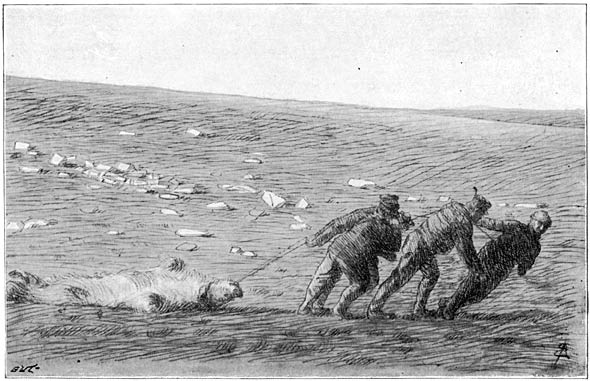 &ldquo;We first tried to drag the bears&rdquo;