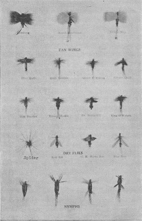 Photograph of flies ties by the author.