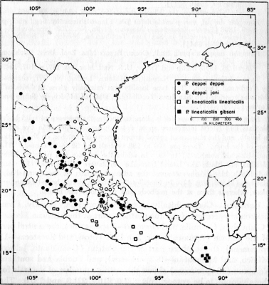 Fig. 1. México and Guatemala showing the distribution of the subspecies
of Pituophis deppei and P. lineaticollis.