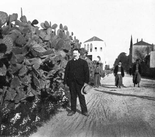 CACTI IN BEYROUT MADE AN IMPENETRABLE FENCE.