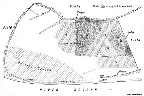 Plan of the
water meadow showing the territories occupied by Lapwings in the year
1915.