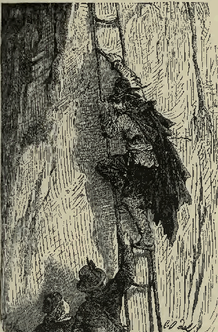 their guide showed them a rope-ladder
secured to the rocks above