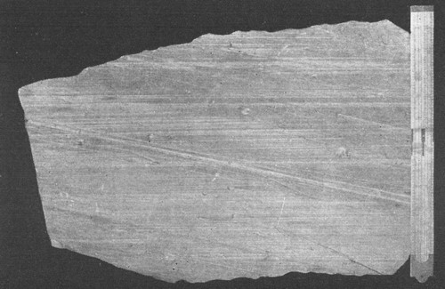 By permission of the American Museum of Natural History

Glacial stri&aelig; on Lower Helderberg limestone