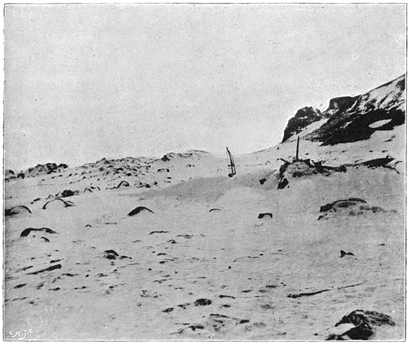 &ldquo;Our Winter Lair&rdquo;