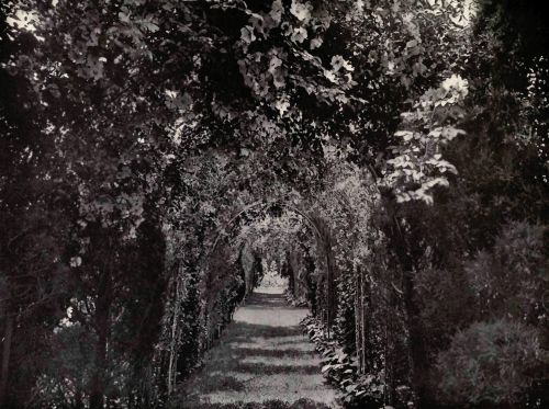 PLATE 58 Southampton, L.&nbsp;I. Mrs. Peter B. Wyckoff