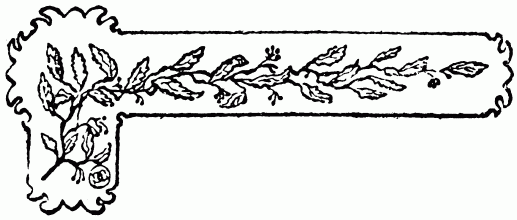 barra decorativa cap�tulo XII