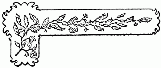 barra decorativa cap�tulo XXIII