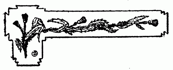 decoraci�n no disponible