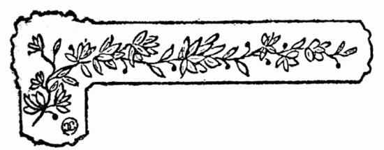 decoraci�n no disponible