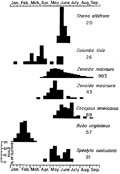 Fig 4.&mdash;Histograms representing breeding schedules