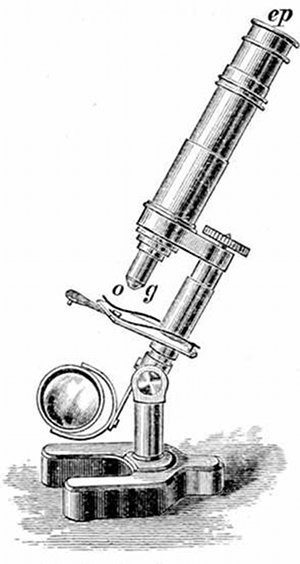 Fig. 14.

Student's microscope.
ep, Eye-piece, o, g, Object-glass.