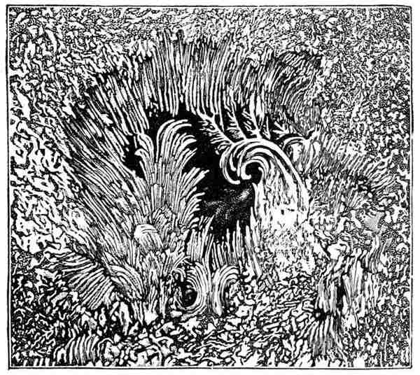 Fig. 53.

A tumultuous sun-spot. (Langley.)