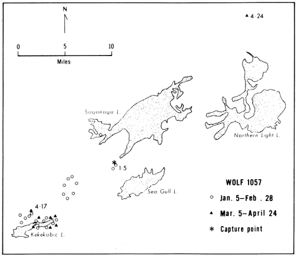 Figure 23.&mdash;Locations and range of wolf 1057.
Only selected lakes are shown.