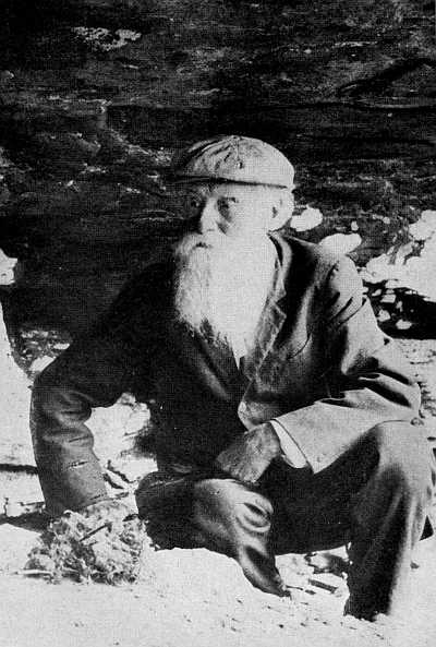 A CATSKILL MOUNTAIN SIDE WHERE THE PH&OElig;BE BUILDS