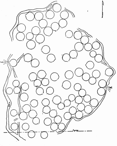 Fig. 12.&mdash;Plan of the large Hidatsa village.