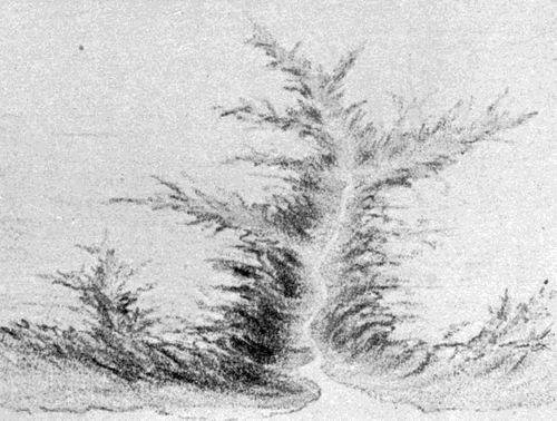 FIG. 2. Sketch of a valley
 at the stage of development corresponding to the cross section shown in Fig. 20.