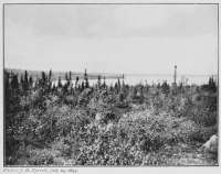 Photo: J. B. Tyrrell, July 19, 1893.
WHOLDIAH LAKE AS SEEN FROM THE HILLS TO THE SOUTH
