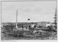 Photo: J. W. Tyrrell, 1900.
LAST WOODS ON EAST SHORE, ARTILLERY LAKE