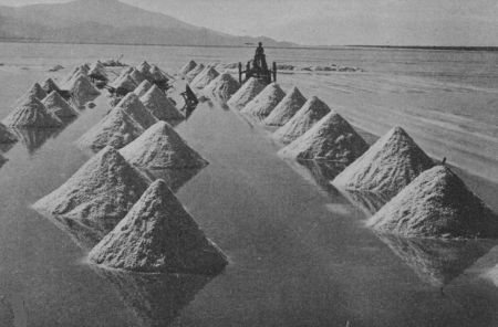 Fig. 31.&mdash;Harvesting Salt, Salton, California. Is there any Water in this Field?