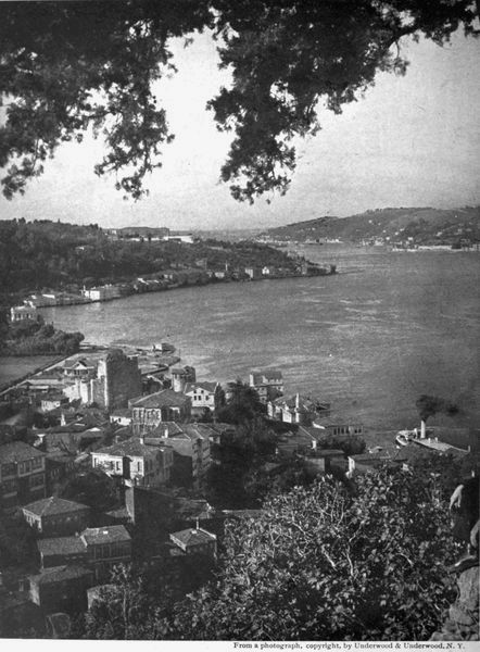 THE BOSPHOROUS&mdash;CONSTANTINOPLE IN THE DISTANCE