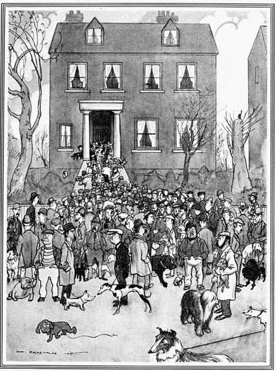 LOST&mdash;A PEKINESE DOG