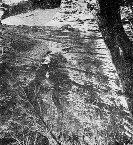 COLDWATER CANYON
(Upper Dells.)