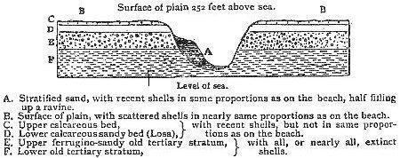 [Illustration:
Section of plain of Coquimbo.]