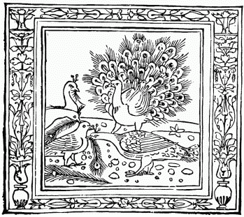 FIG. 23.&mdash;The Crow and the Peacock. From “Æsop’s Fables.”
Venice, 1491 (design, 1481).