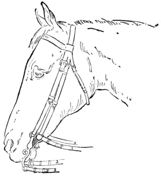 Fig. 16.&mdash;The Bit adjusted.