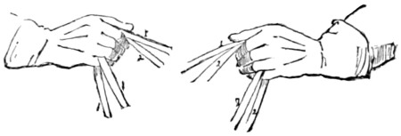 Fig. 28.&mdash;Double bridle; a snaffle and a curb
rein in each hand.
