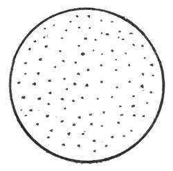 FIG. 1. THESE 100 DOTS SHOW HOW MANY PEOPLE PER CENT.
ARE BORN BALD.