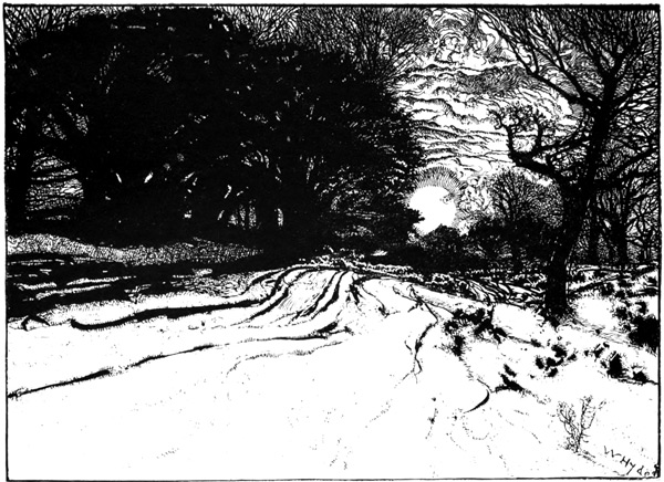 ROUGH, AND MARKED ONLY BY RUTS IN THE WINTER SOIL, AND BY ITS
RANK OF SECULAR TREES