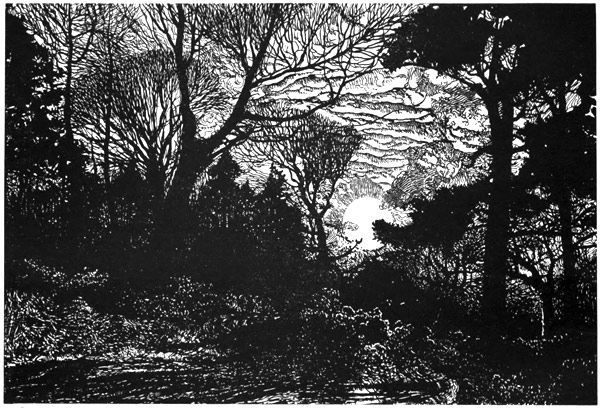 A PLACE OF CLOSE DARK AND VARIOUS TREES, FULL OF A DAMP AIR, AND GLOOMY
WITH STANDING WATER-RUTS