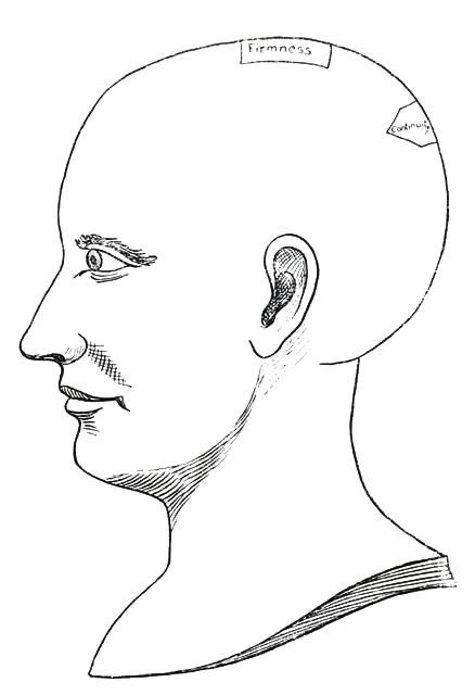 Fig. 6

THE APPLICATIVE QUALITIES