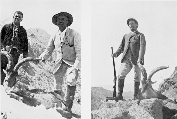 Two Spanish Ibex shot in Sierra de Grédos, July, 1910.

MARQUÉS DE VILLAVICIOSA DE ASTEREAS.
MARQUÉS DE VIANA.
Two Spanish Ibex Shot in Sierra de Grédos, July, 1910.