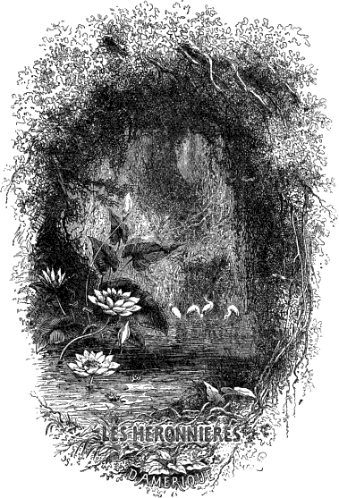 LES H�RONNI�RES D'AM�RIQUE