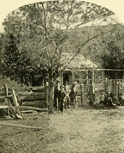 Brother
Belder’s&mdash;Virgen City.