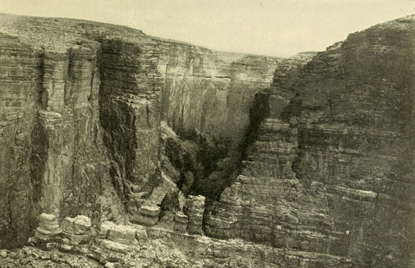 The Canyon of the
Little Colorado.