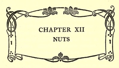 CHAPTER XII
NUTS