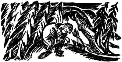 Abbildung: Der junge F&ouml;rster Brandis