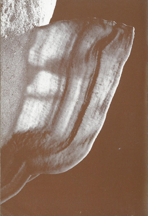 &ldquo;Fresh crisp bacon&rdquo; formed by water flowing originally from a crack or elongate hole and cascading down the face of the limestone. The deposit formed as a small ridge that then acted as the course of subsequent water which added additional deposits. The dark bands contain some impurity to give a color to the ordinarily white calcite.