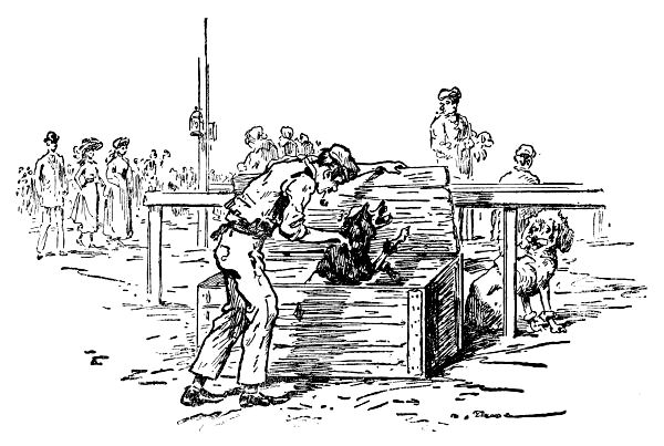 Clown at the dog market