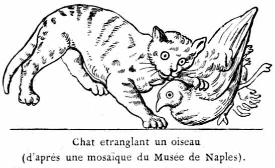 Chat étranglant un oiseau
(d'après une mosaïque du Musée de Naples).