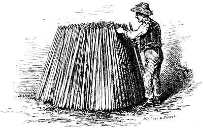 Stakes &lsquo;Moyère&rsquo;